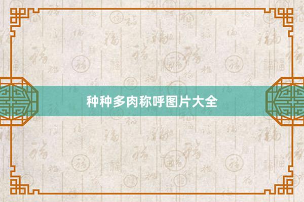 种种多肉称呼图片大全
