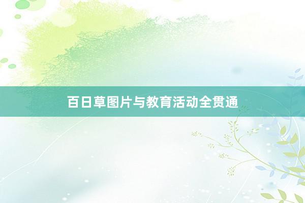 百日草图片与教育活动全贯通