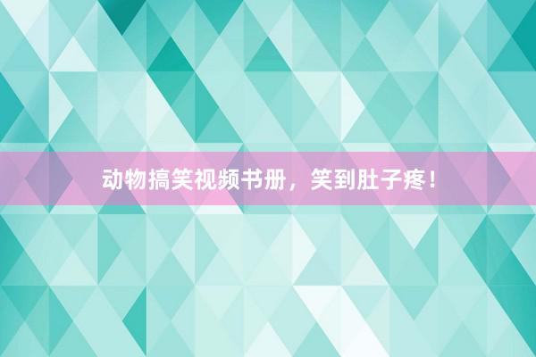 动物搞笑视频书册,笑到肚子疼!