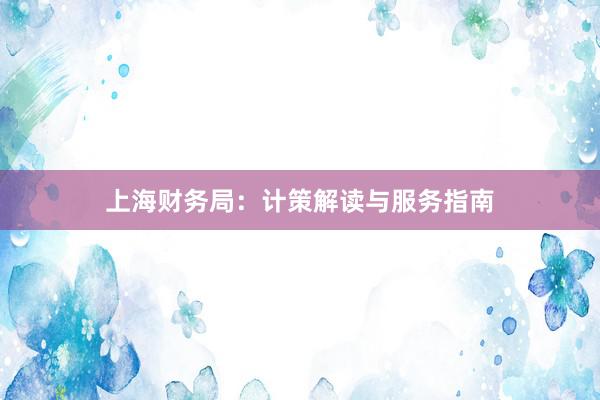 上海财务局：计策解读与服务指南
