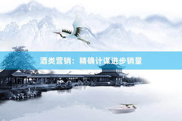 酒类营销：精确计谋进步销量