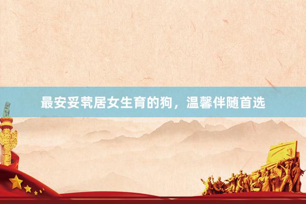 最安妥茕居女生育的狗，温馨伴随首选